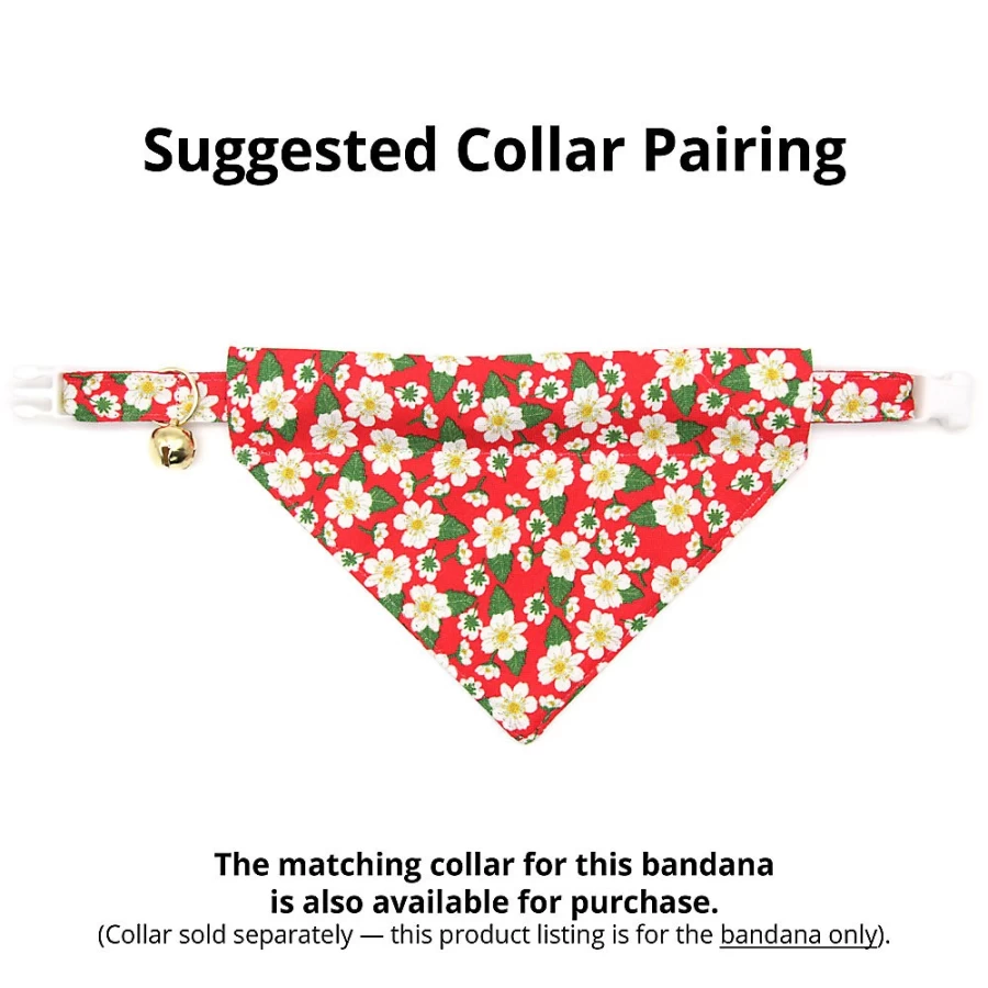 PetSmart Cleo Berry Blossom Floral Slide-On Cat Bandana for Pets
