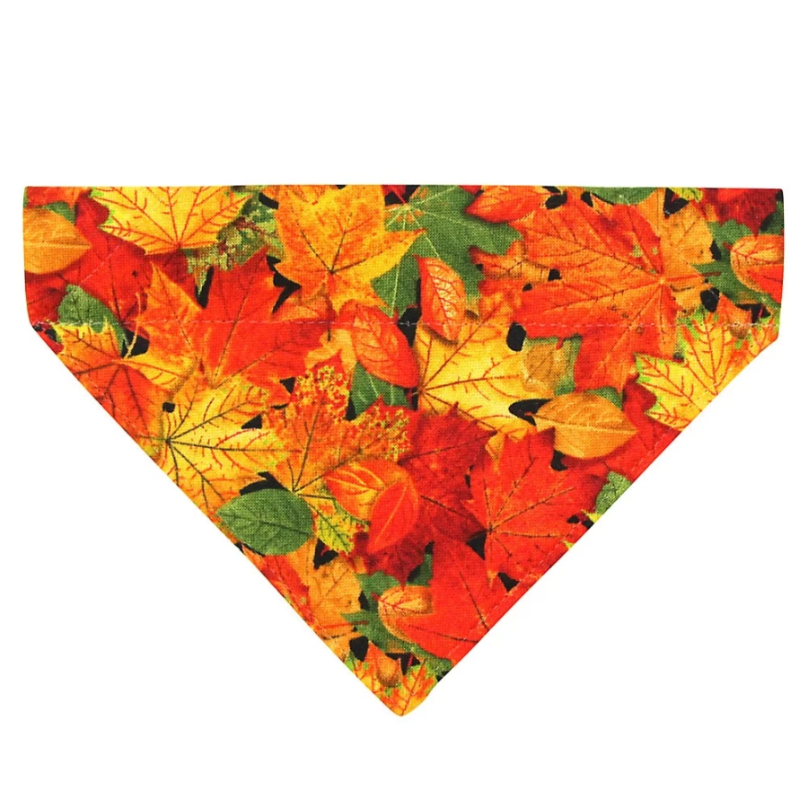 PetSmart Forever Fall Autumn Leaves Slide-On Cat Bandana - Made By Cleo for Seasonal Pet Fashion