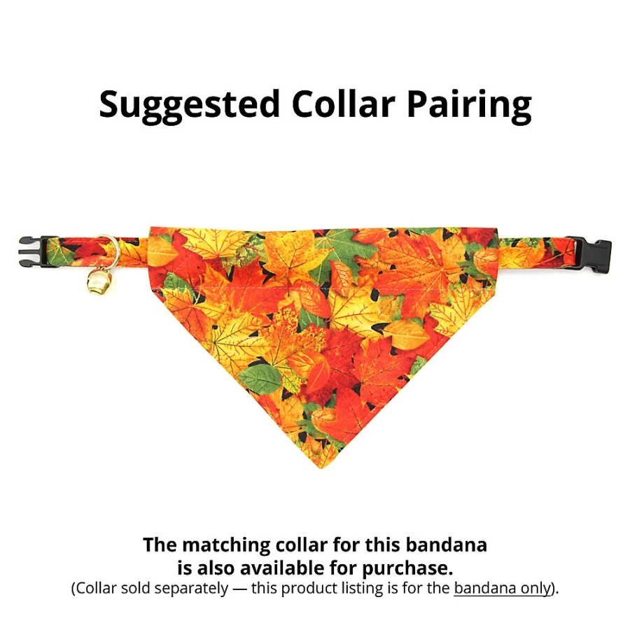 PetSmart Forever Fall Autumn Leaves Slide-On Cat Bandana - Made By Cleo for Seasonal Pet Fashion
