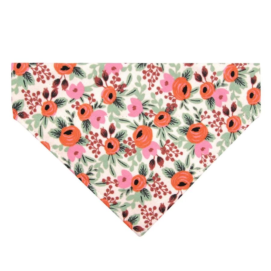 PetSmart Juliet Floral Slide-On Cat Bandana by Made By Cleo - Adjustable Comfort Pet Accessory