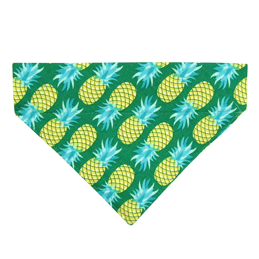 PetSmart Cleo Pineapple Aqua Tropical Slide-On Cat Bandana for Pets