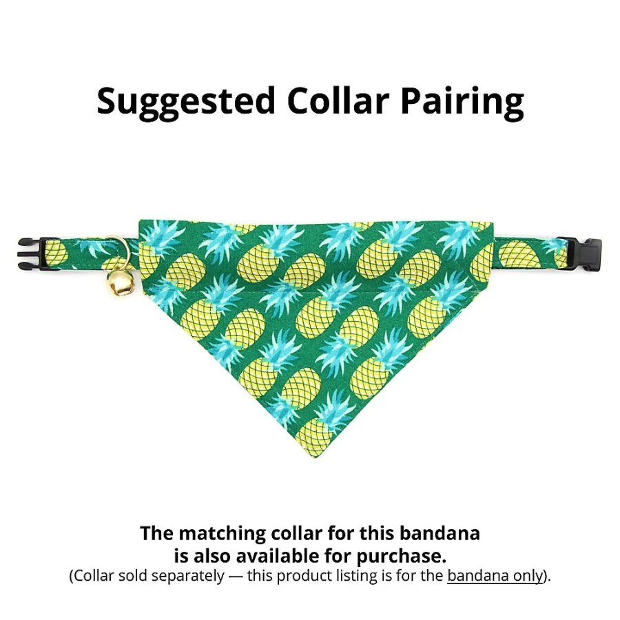 PetSmart Cleo Pineapple Aqua Tropical Slide-On Cat Bandana for Pets
