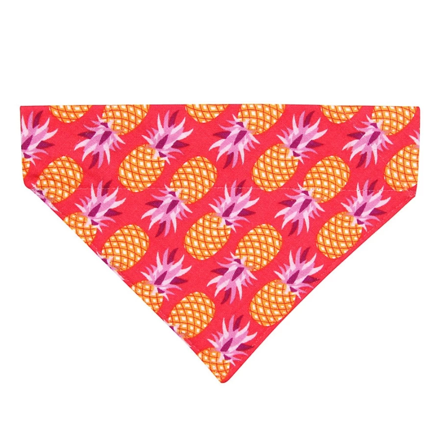 PetSmart Cleo Pineapple Berry Tropical Slide-On Cat Bandana for Pets