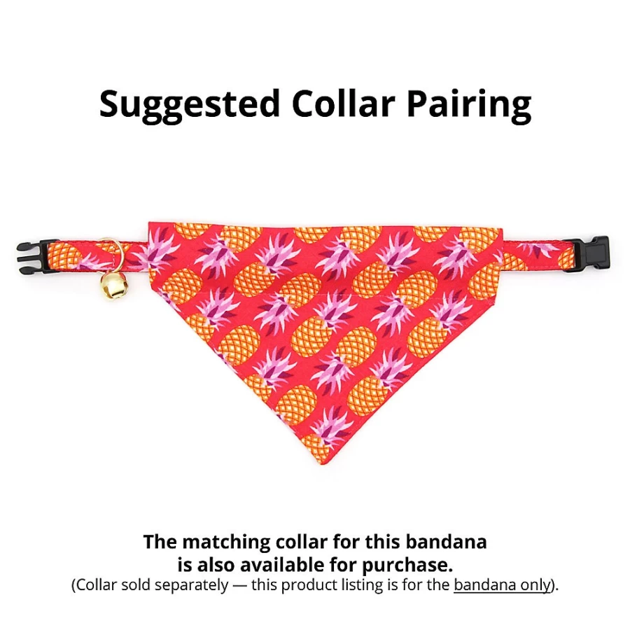 PetSmart Cleo Pineapple Berry Tropical Slide-On Cat Bandana for Pets