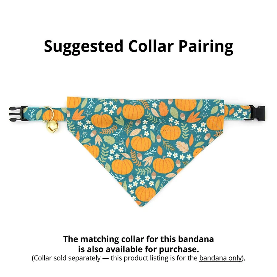 PetSmart Fall Pumpkin Patch Slide-On Cat Bandana by Cleo - Cozy Seasonal Pet Accessory