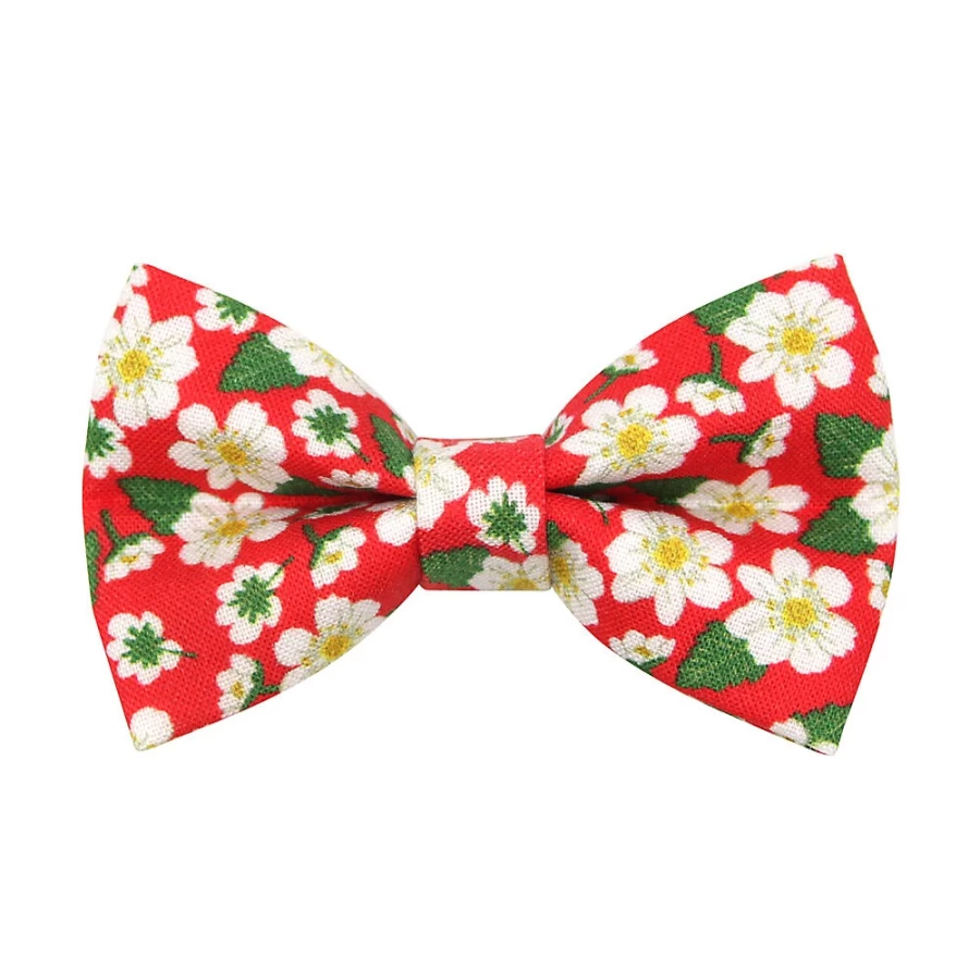 PetSmart Floral Cat Bow Tie - Cleo Berry Blossom Design for Pets