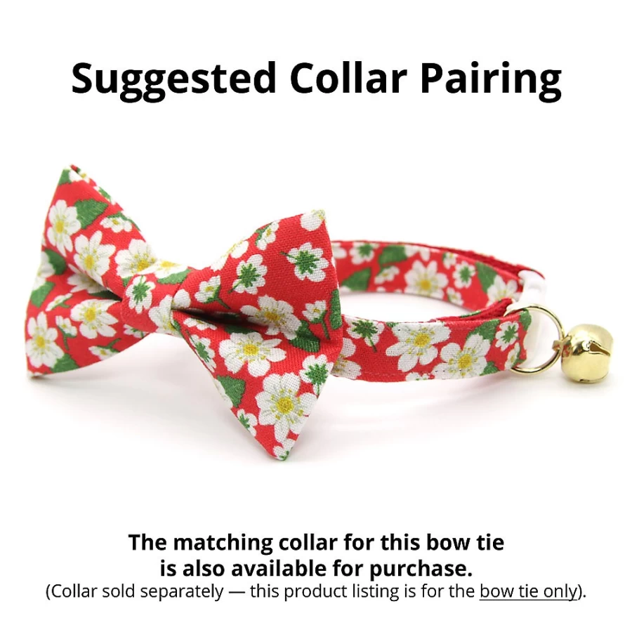 PetSmart Floral Cat Bow Tie - Cleo Berry Blossom Design for Pets