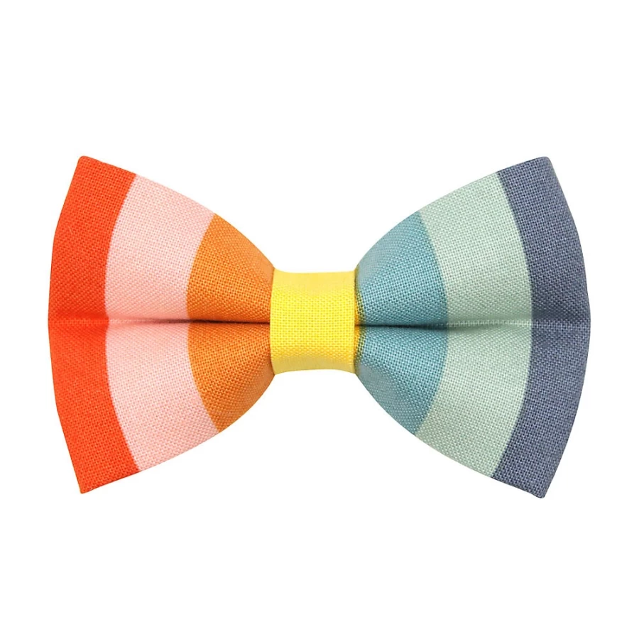 PetSmart Rainbow Cat Bow Tie - Colorful & Stylish Accessory by Made By Cleo Carousel