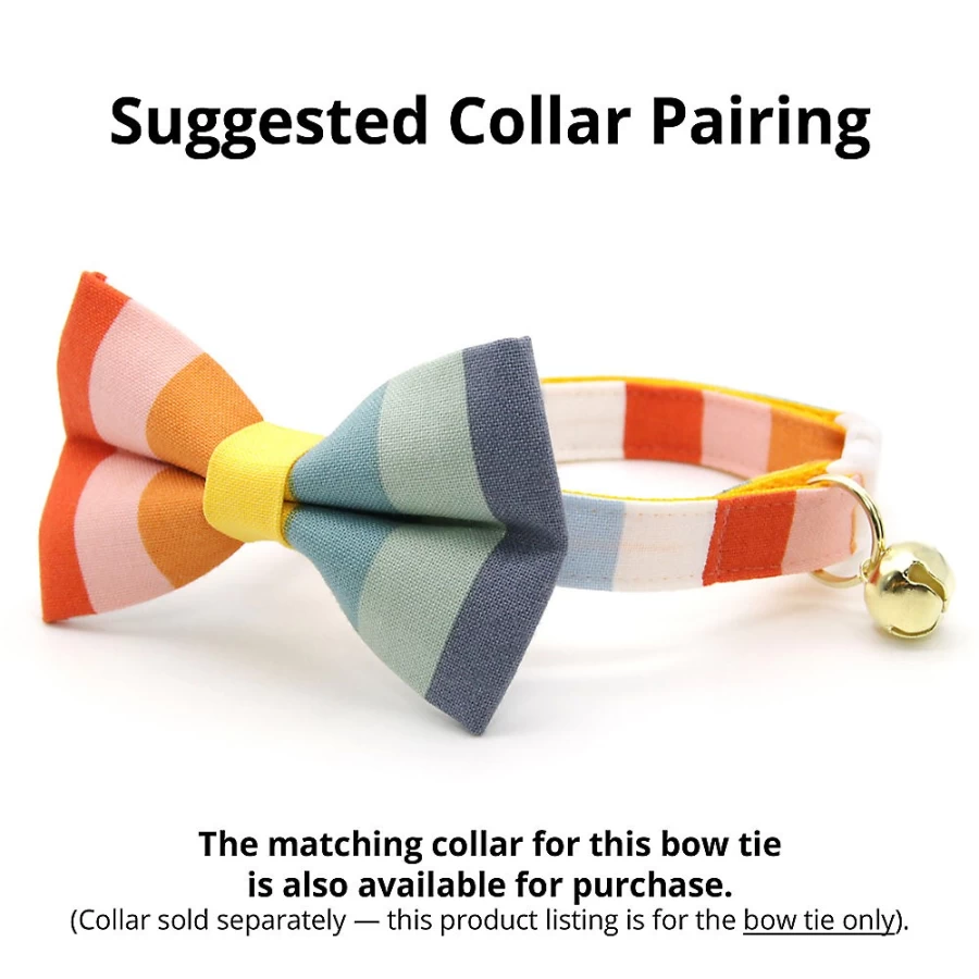 PetSmart Rainbow Cat Bow Tie - Colorful & Stylish Accessory by Made By Cleo Carousel