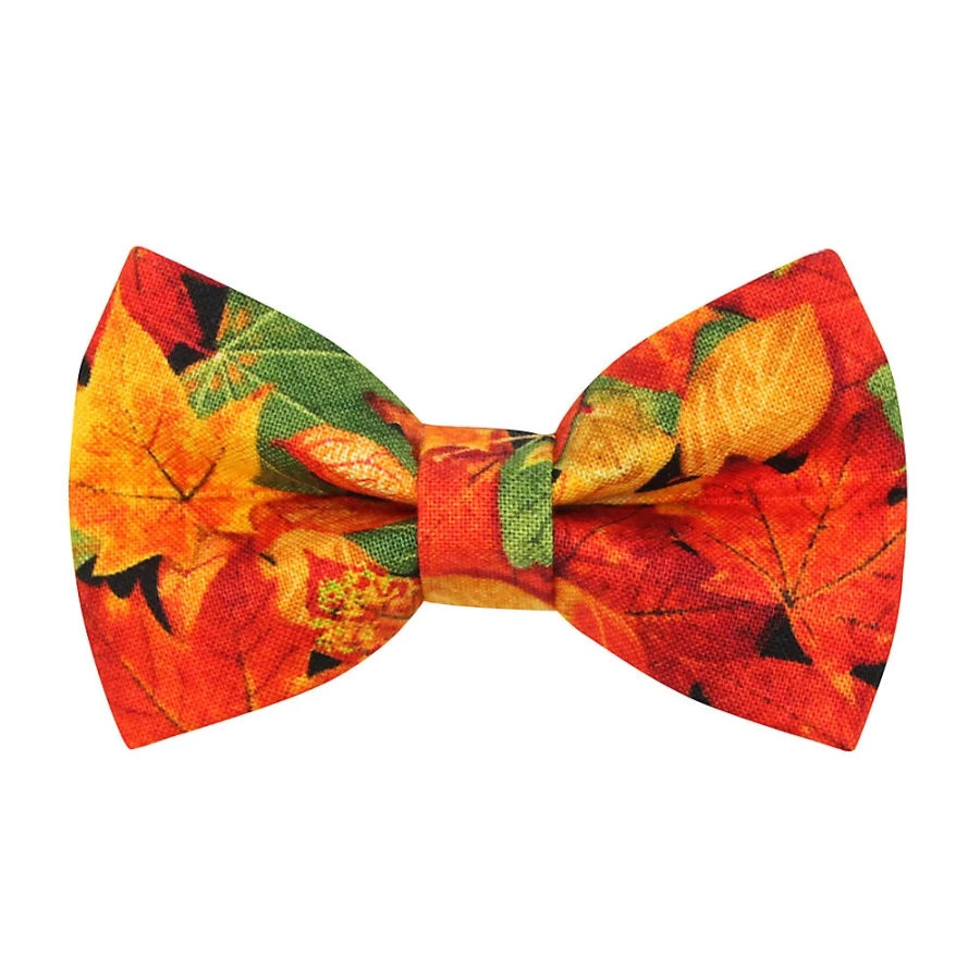 PetSmart Forever Fall Autumn Leaves Cat Bow Tie by Cleo - Stylish Seasonal Pet Accessory