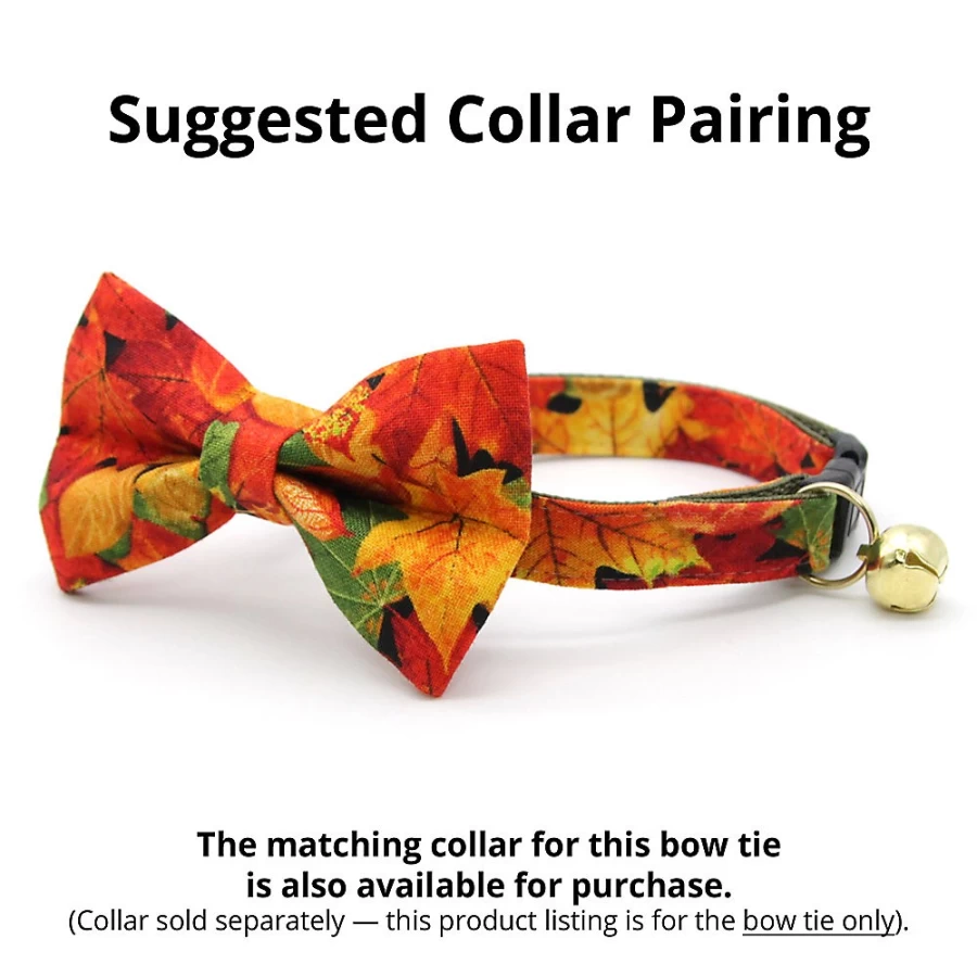 PetSmart Forever Fall Autumn Leaves Cat Bow Tie by Cleo - Stylish Seasonal Pet Accessory