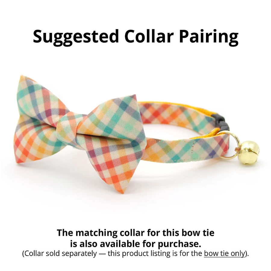 PetSmart Golden Hour Rainbow Plaid Cat Bow Tie by Cleo - Stylish Feline Accessory