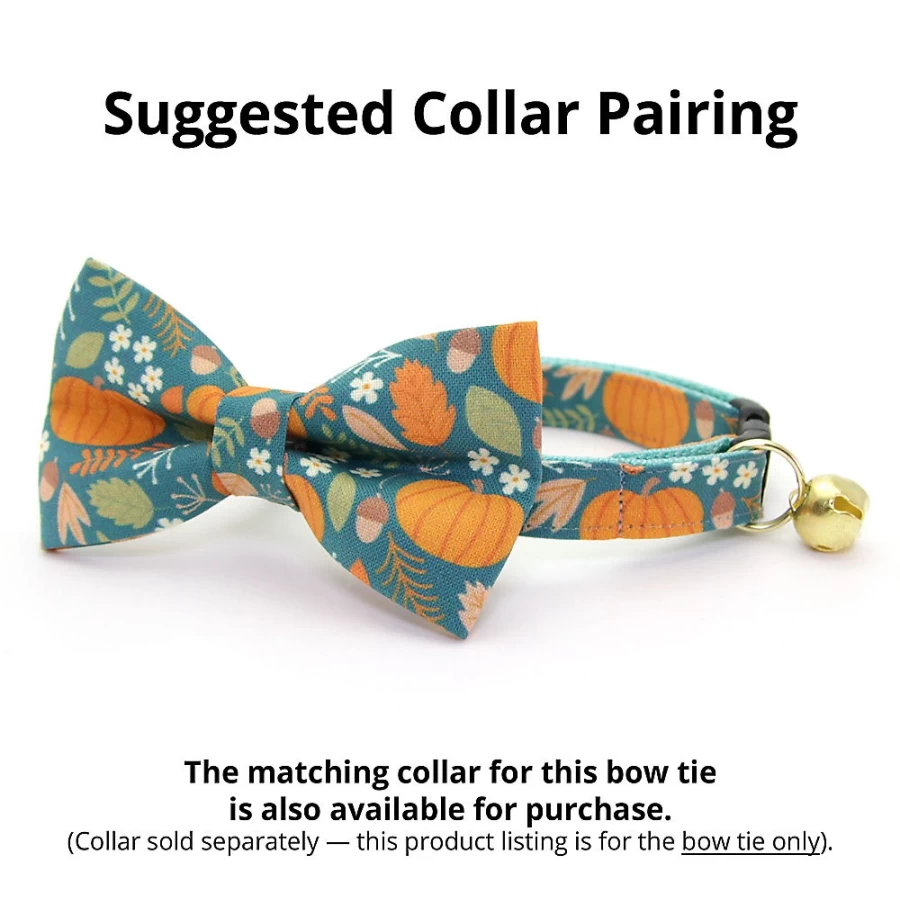 PetSmart Pumpkin Patch Fall Cat Bow Tie - Made By Cleo for Autumn Pet Fashion