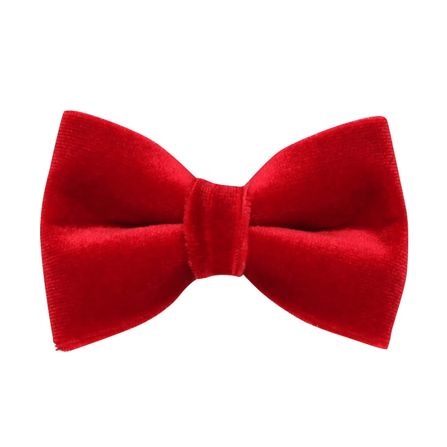 PetSmart Velvet Cat Bow Tie - Elegant Cat Collar Accessory by Cleo for Stylish Pets