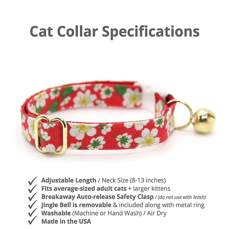 PetSmart Cleo Berry Blossom Floral Breakaway Cat Collar - Safe & Stylish Kitten Collar