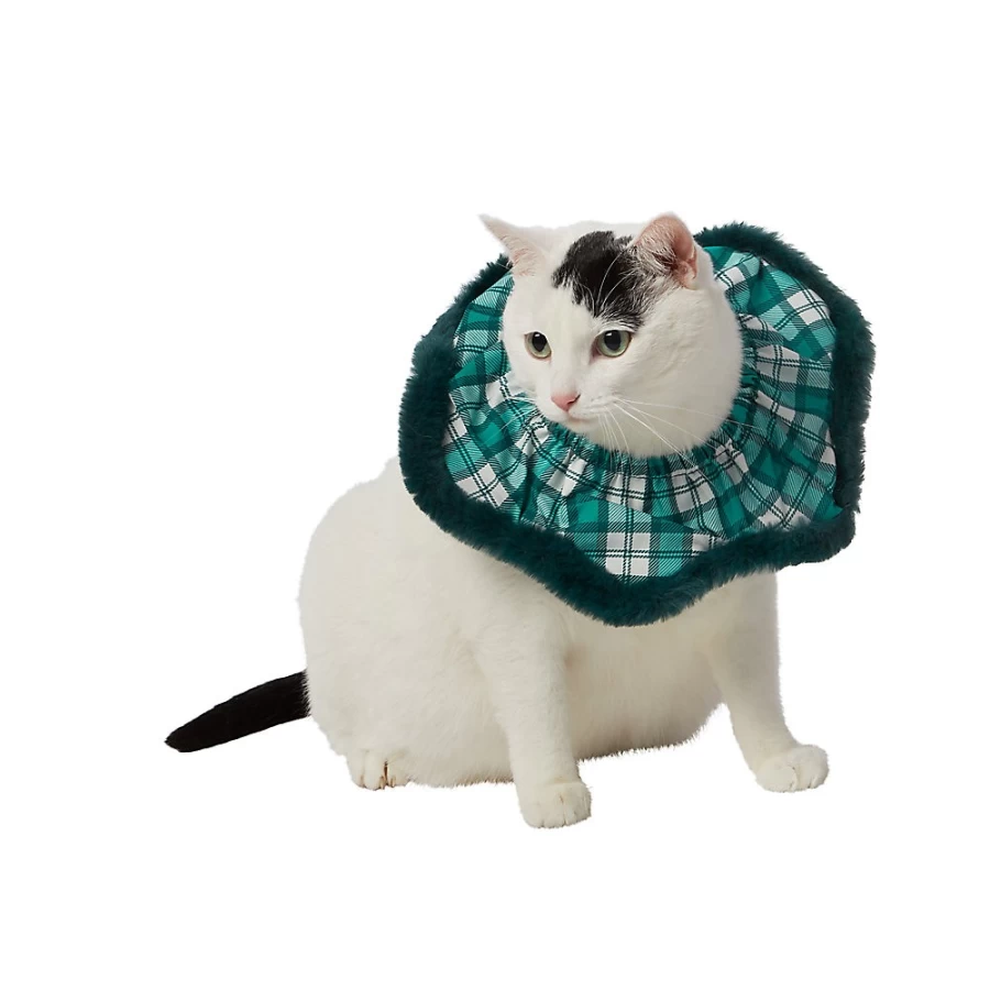 PetSmart Whisker City Green Plaid Cat Scrunchie Collar - Soft & Stylish Pet Accessory