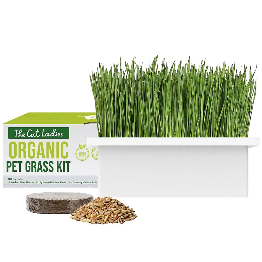 PetSmart Organic Pet Grass Growing Kit - Bamboo Fiber Planter for Cat Ladies