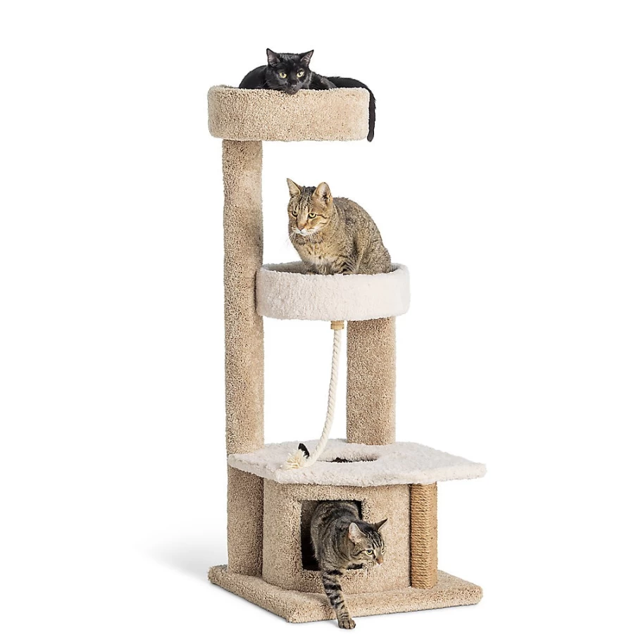 PetSmart Whisker City 48-inch Cozy Climber Cat Tree Tower with Perch, Scratching Posts & Condo (Color May Vary)