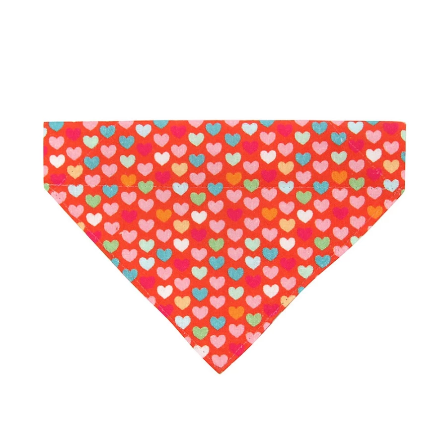 PetSmart Valentine's Day Cat Bandana - Modern Love Slide-On Pet Bandana by Cleo
