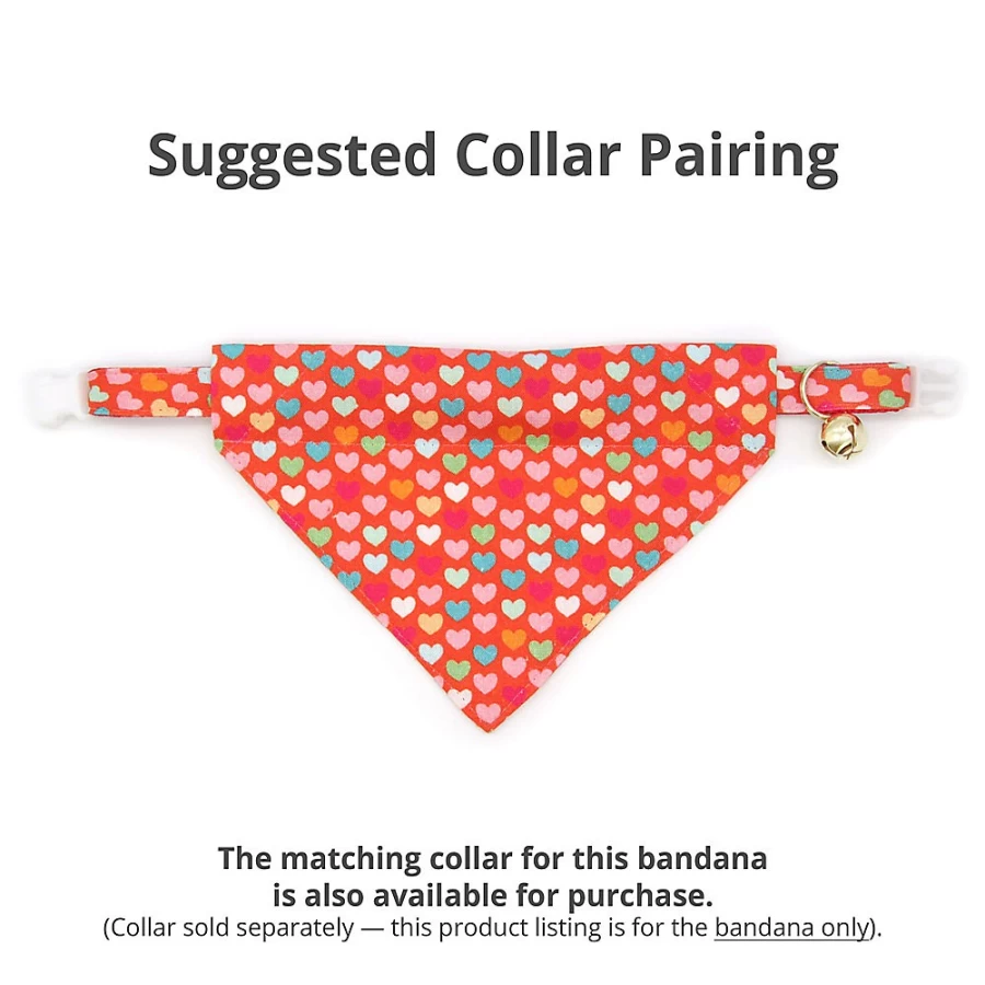 PetSmart Valentine's Day Cat Bandana - Modern Love Slide-On Pet Bandana by Cleo